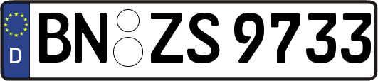 BN-ZS9733