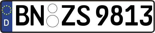 BN-ZS9813