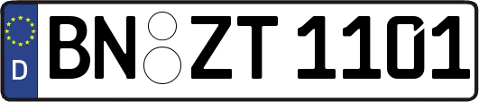 BN-ZT1101