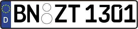 BN-ZT1301