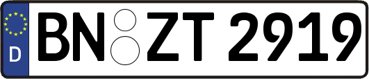 BN-ZT2919