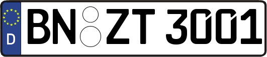 BN-ZT3001