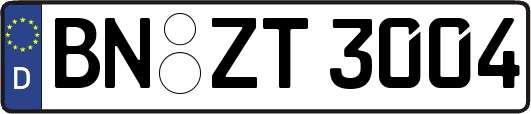 BN-ZT3004