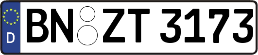 BN-ZT3173