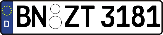 BN-ZT3181