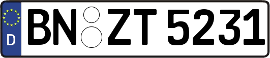 BN-ZT5231