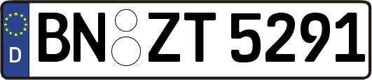 BN-ZT5291