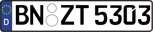 BN-ZT5303