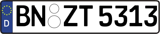 BN-ZT5313