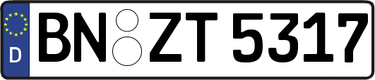 BN-ZT5317