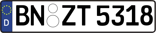 BN-ZT5318