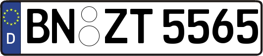 BN-ZT5565