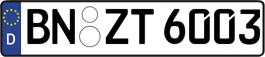 BN-ZT6003