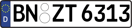 BN-ZT6313