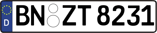BN-ZT8231