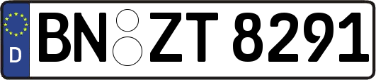 BN-ZT8291