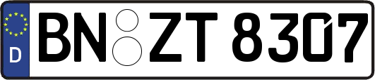 BN-ZT8307