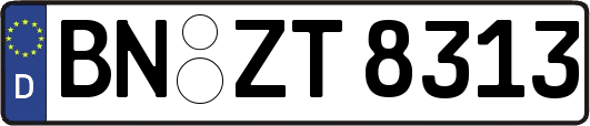 BN-ZT8313