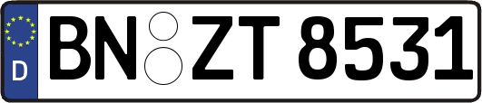 BN-ZT8531