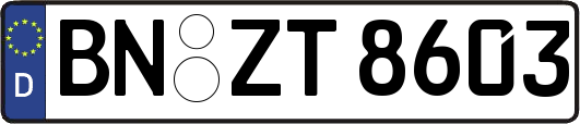 BN-ZT8603