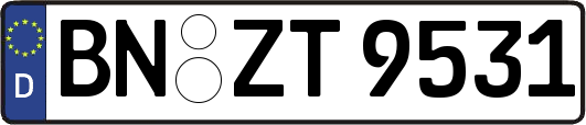 BN-ZT9531
