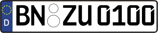 BN-ZU0100