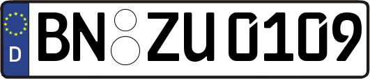 BN-ZU0109