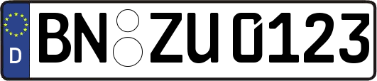 BN-ZU0123
