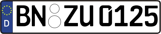 BN-ZU0125