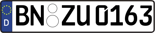 BN-ZU0163