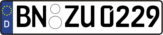 BN-ZU0229