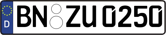 BN-ZU0250