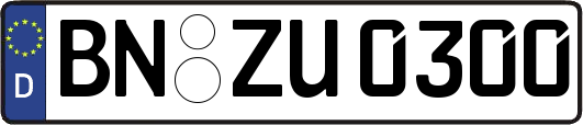 BN-ZU0300