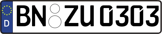 BN-ZU0303