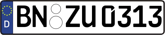 BN-ZU0313
