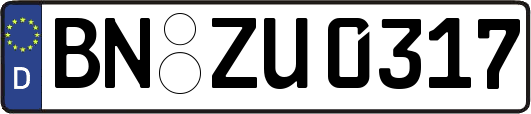 BN-ZU0317