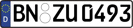 BN-ZU0493