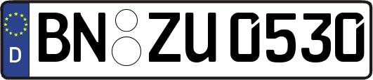 BN-ZU0530
