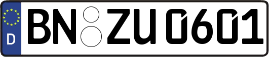 BN-ZU0601