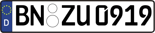 BN-ZU0919