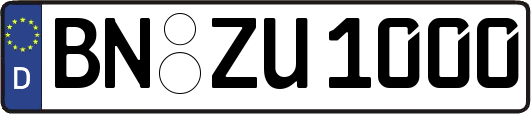 BN-ZU1000