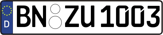 BN-ZU1003