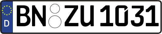 BN-ZU1031