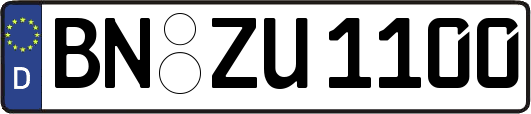BN-ZU1100