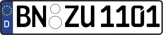 BN-ZU1101