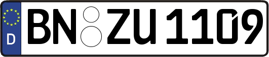 BN-ZU1109