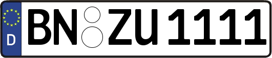 BN-ZU1111