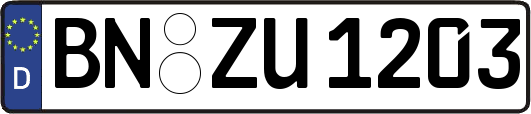 BN-ZU1203