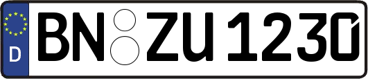 BN-ZU1230