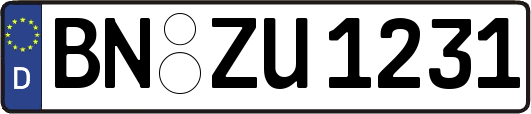 BN-ZU1231